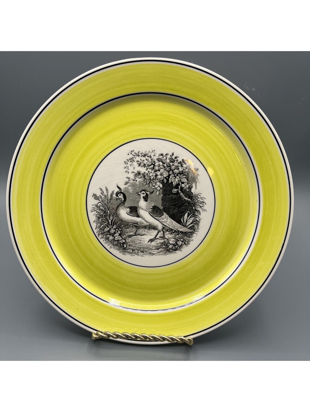 Villeroy & Boch India 6 Game Bird Plate 8” Yellow, Black And White Center Scene